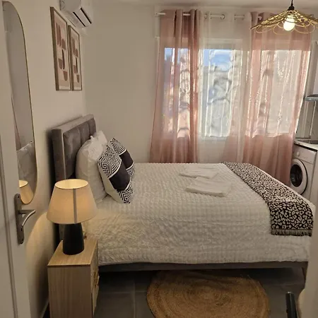 Apartment Studiog-6 Douillet Clim Parking Oncopole Univjj